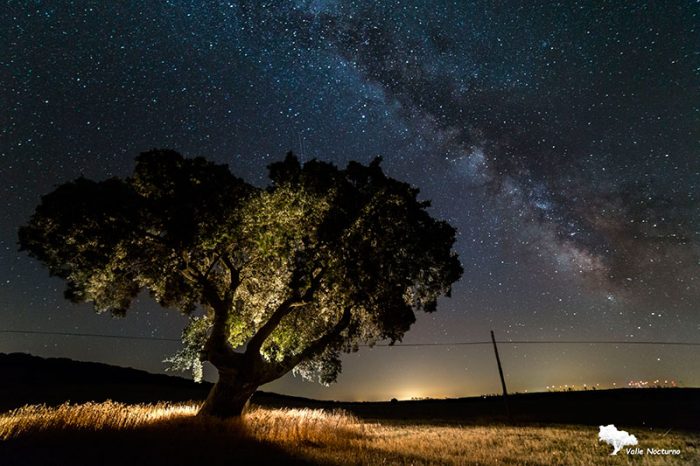 Fotografía nocturna de una encina y de la vía láctea. Palencia diferente Fotografía nocturna de una encina y de la vía láctea. Palencia diferente