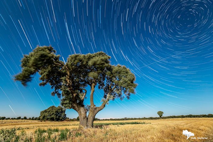 Fotografía nocturna de una encina y del efecto circumpolar. Palencia diferenteel efecto circumpolar. Palencia diferente